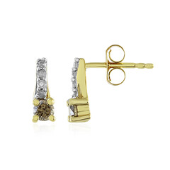 Orecchini in argento con Diamante Champagne I4