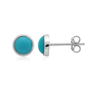 Orecchini in argento con Turchese
