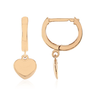 Orecchini in argento