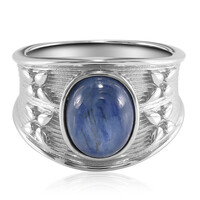 Anello in argento con Cianite (TPC)