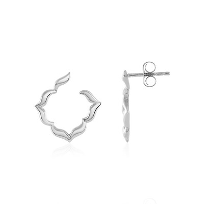 Orecchini in argento