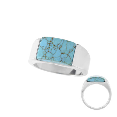 Anello in argento con Turchese (dagen)