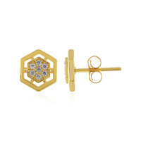 Orecchini in argento con Zircone
