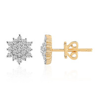 Orecchini in oro con Diamante SI1 (G)