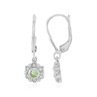 Orecchini in argento con Granato Menta Merelani