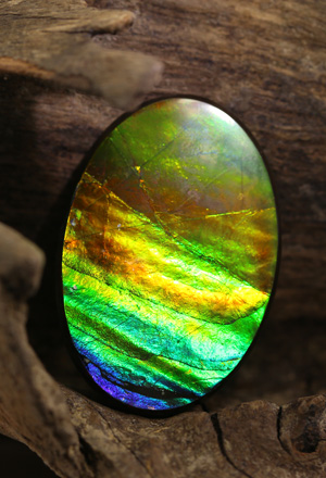Ammolite