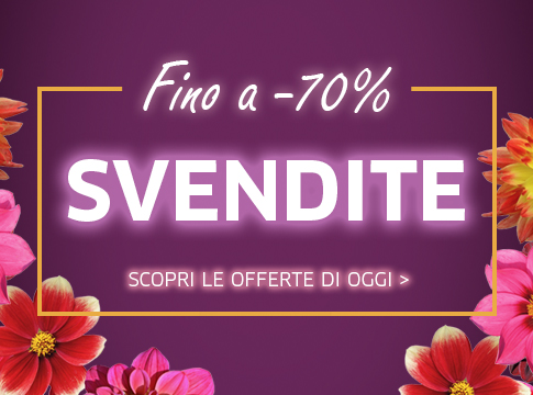 offerte