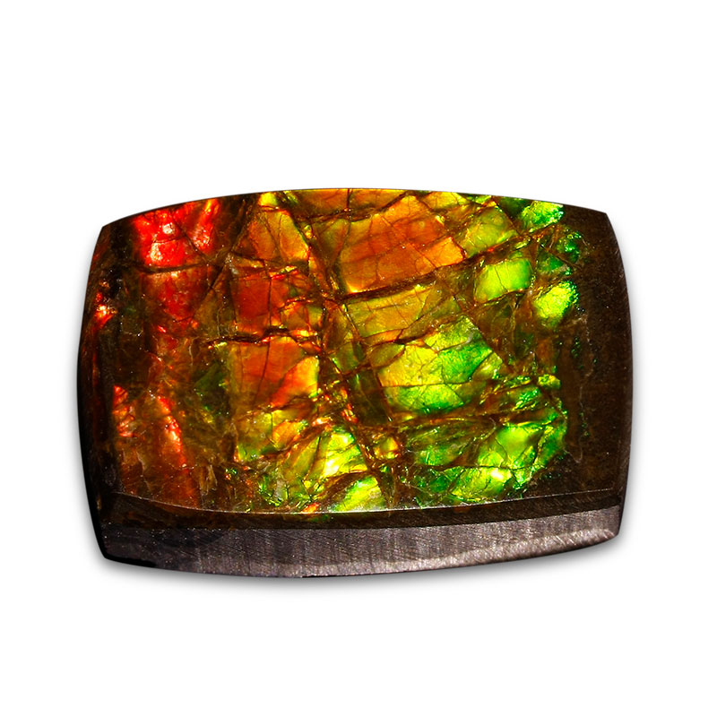 Ammolite