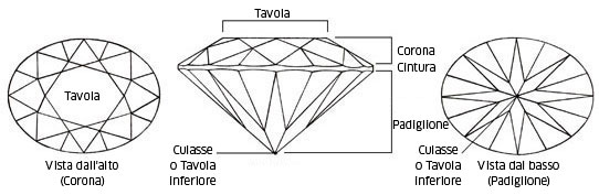 Le diverse parti di una gemma